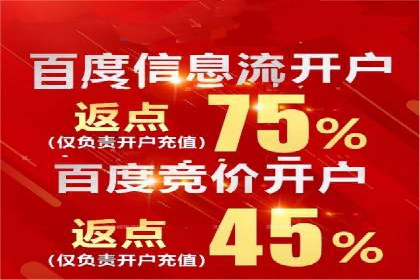 大型SEM服务公司案例分析